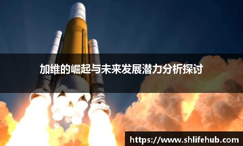 加维的崛起与未来发展潜力分析探讨