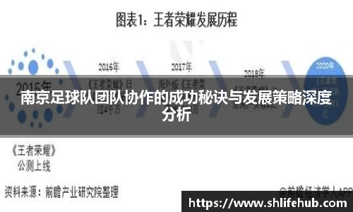 南京足球队团队协作的成功秘诀与发展策略深度分析