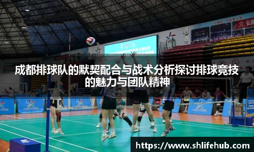成都排球队的默契配合与战术分析探讨排球竞技的魅力与团队精神